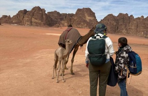 Wadi Rum RV Rental | Wadi Rum Classic Camp
