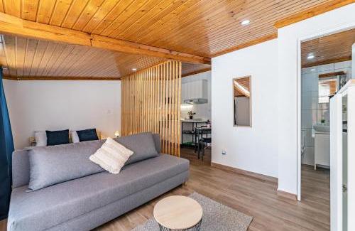 Angeiras Apartment | Wake up with the Sea Breeze- House with pool AP1