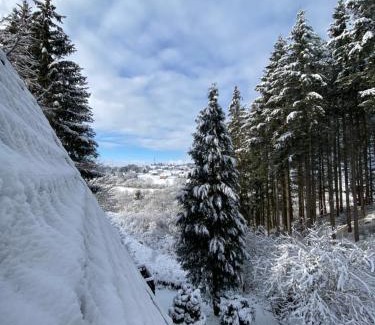 Feriendorf Im Killerberg Apartment | Wald-Chalet Vulkaneifel