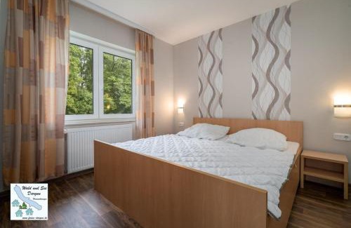 Dargun Apartment | Wald und See Dargun 31B