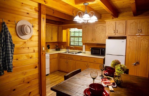 Mentone Cabin | Walden Cabin! Hot Tub, Fire Pit, Private