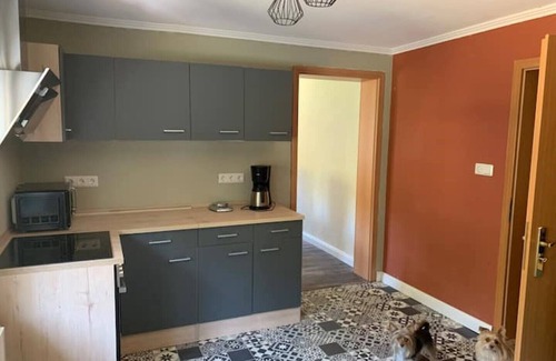Oybin Apartment | Waldferienhaus Dunja mit Whirlpool, Sauna u Garten