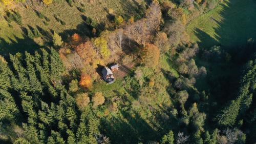 Praebichl Apartment | Waldhütte Stifthube