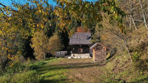 Praebichl Apartment | Waldhütte Stifthube