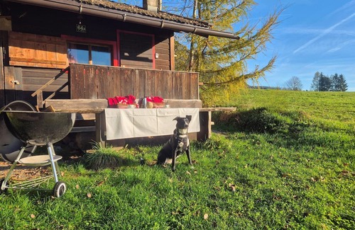Umlberg Cabin | Waldhüttl, Austria