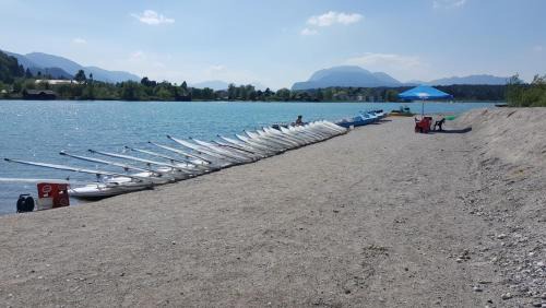 Oberaichwald Apartment | Waldschlössl