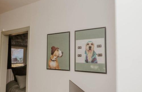 Sioux Center House | Walk to Cafe & Mall, One Mile to Dordt, Dog Theme