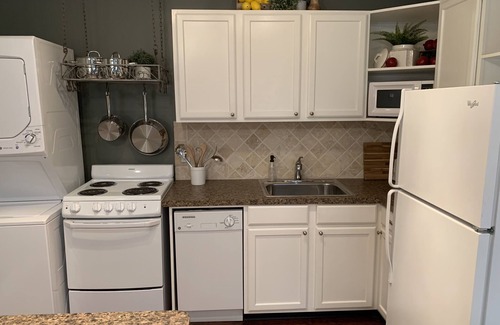 Denton Apartment | Walk to UNT or short drive to 3 hospitals for medical staff