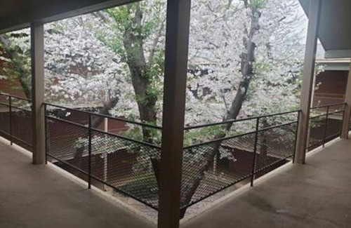 Athens Apartment | Walkable to Sanford Stadium or downtown w/view!