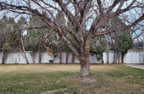 Cheyenne House | Walking distance to Cheyenne frontier days.