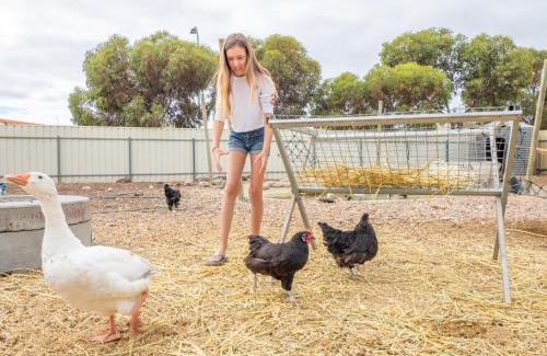 Wallaroo Other | Wallaroo Holiday Park