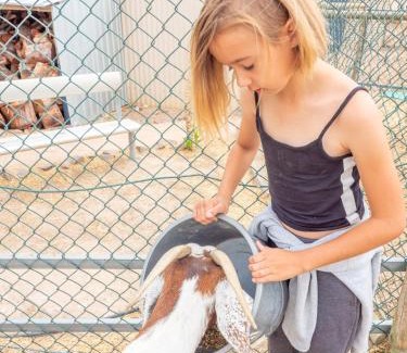 Wallaroo Other | Wallaroo Holiday Park