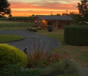 Matamata Bed & Breakfast | Walnut Lodge B&B
