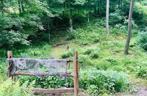 Glenford House | Walnut Lodge Cabin-Private Oasis