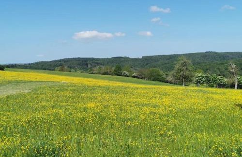 Heidenrod Apartment | Wandern, Reiten und die Seele baumeln lassen