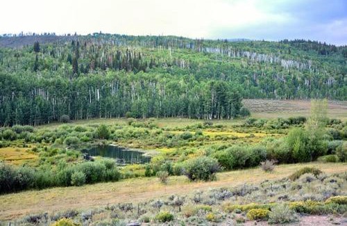 Walden House | Wapiti Retreat at 22 West Cabins and Recreation
