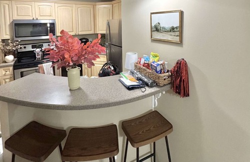 Auburn Condo | War Eagle Villa- .4 From Toomers, Stadium, Neville Arena-walk to Chick-fil-A