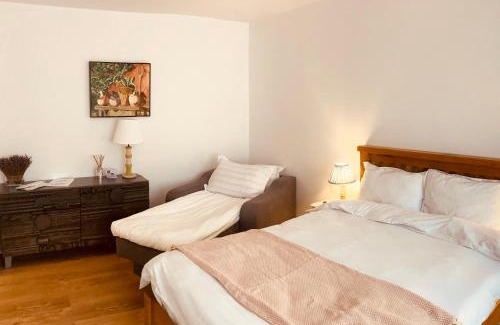 Uricani Apartment | Warm and cozy studio flat near Straja