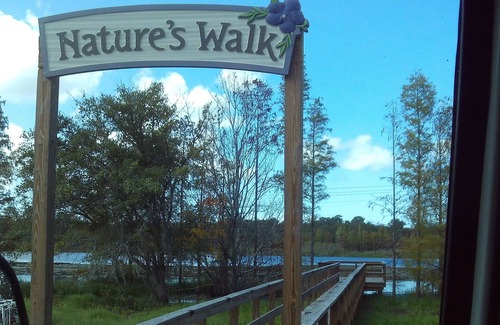Port Richey House | Warm Winter Vacation with Lots of Activities, Clean, Well Maintained with Charm