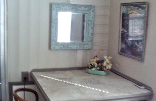 Port Richey House | Warm Winter Vacation with Lots of Activities, Clean, Well Maintained with Charm