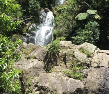 Papamoa Bed & Breakfast | Warwick Hills Rural Bed & Breakfast