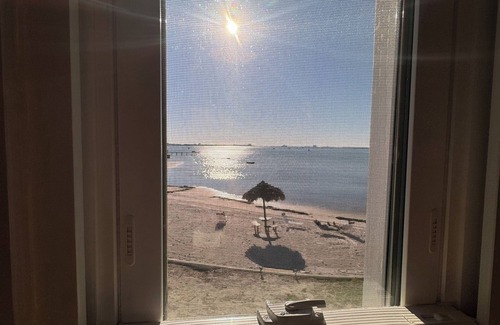 Bayview Condo | Watch Dolphins Play From the Couch . Free Boat Inc . Best Condo in St.Pete . JG