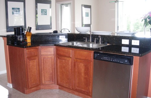 FishHawk Ranch House | Water View Home, Family Friendly Community, HOA requires a 7-month lease