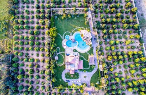 Ismailia House | Waterfall Zoo Lodge Deluxe Suite 1