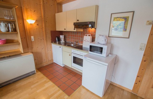 Zell am See Apartment | Waterfront Apartment 2