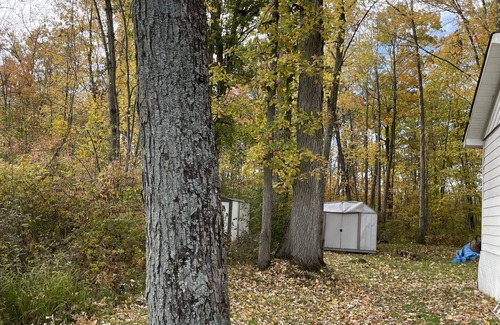 Hastings Cottage | Waterfront cottage, located in the Trent Severn Waterway, 90 min from Toronto
