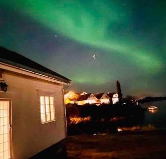 Alesund House | Waterfront Cottage (Fishing Opportunities!)