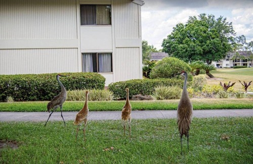 Wesley Chapel Condo | Waterfront Studio w/2 Queen Beds, Patio & Smart TV – Cozy & Convenient for a Relaxing Getaway!