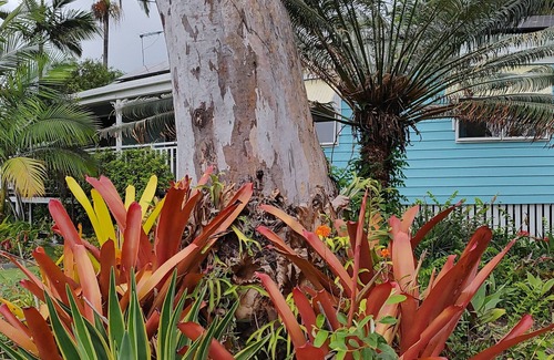 Brisbane Waterfront House | Waterside Caribbean vibe 3 brm Macleay Island bungalow on beautiful Moreton Bay