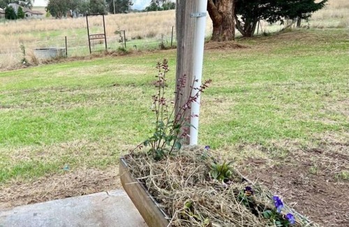 Mandurama Cottage | Wattle Cottage