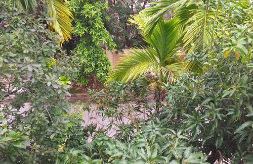 Thao Dien House | We run a homestay business.