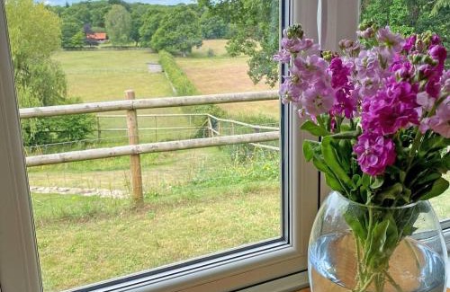 New Forest District House | Weavers Lodge