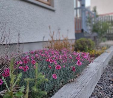 Dulnain Bridge Apartment | 'Wee Smiddy' Shepherd's Hut - Yoga - Wild Swim