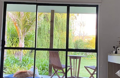 Matakana House | Weeping Willow