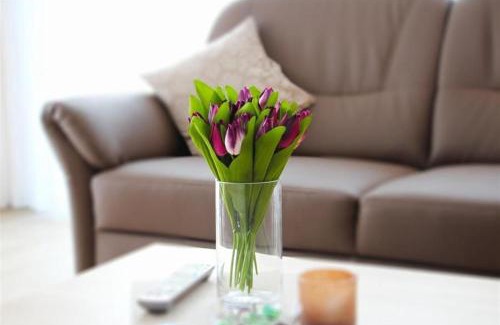 Duhnen Apartment | Wehrbergsdüne 26, FeWo 4