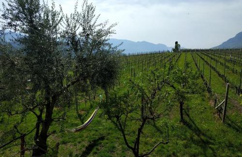 Pianizza Di Sopra Apartment | Weingut Hochleiten