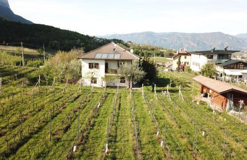 Pianizza Di Sopra Apartment | Weingut Hochleiten