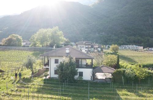 Pianizza Di Sopra Apartment | Weingut Hochleiten
