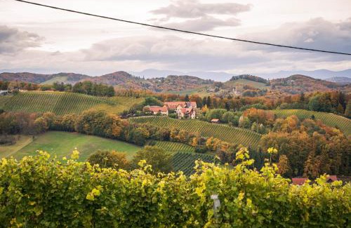 Gamlitz Apartment | Weingut Leopold Dietrich