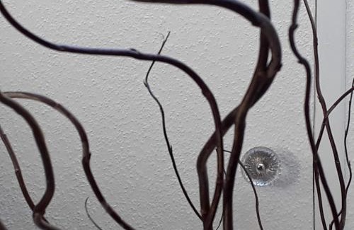 Bad Fallingbostel Apartment | Weissewolke