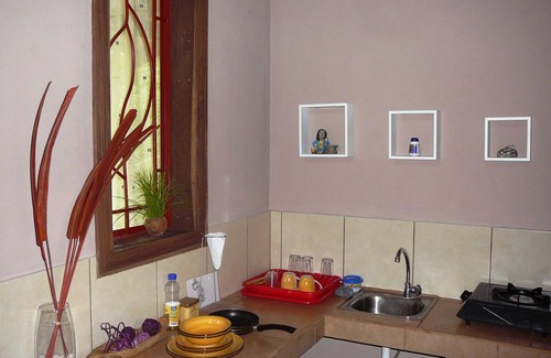Cocles Apartment | Welcome to the jungle! stylish jungle view apartments for nature lovers