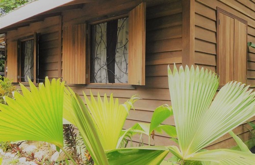 Cocles Apartment | Welcome to the jungle! stylish jungle view apartments for nature lovers
