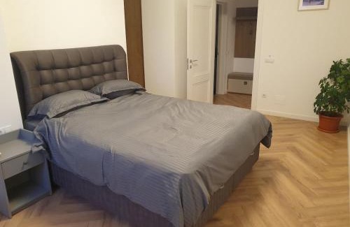 Baia Mare Apartment | Welcome! Central park!