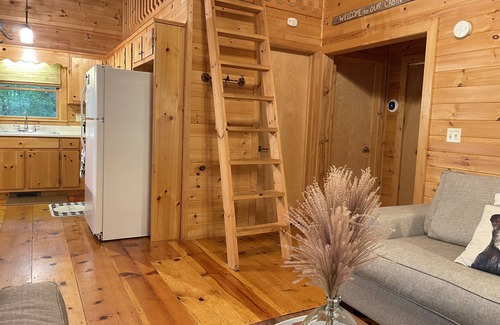 Hidden Lake House | Welcome to Bearadise! Charming cabin 10 minutes to downtown Blue Ridge!
