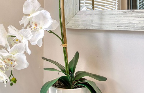 Southside House | Welcome to The Hidden Gem, located in a well diverse community.