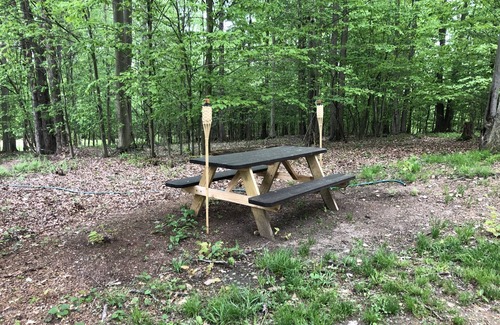 Portland Mills House | Welcome to the Lake City Cabin!